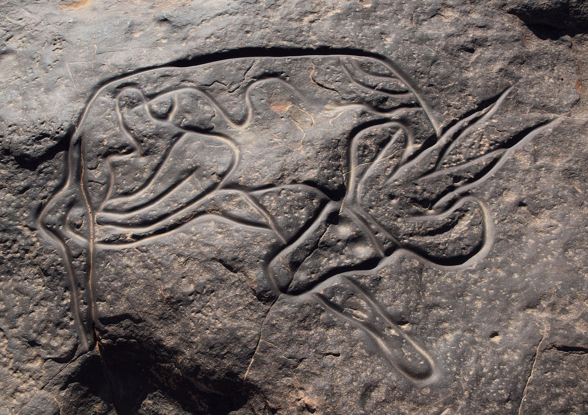 Наскальное изображение лежащей антилопы или газели. Тин-Тагирт, Тассилин-Аджер