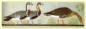 .«Медумские гуси». Фрагмент росписи с изображением гусей из гробницы зодчего Нефермаат, и его жены Итет