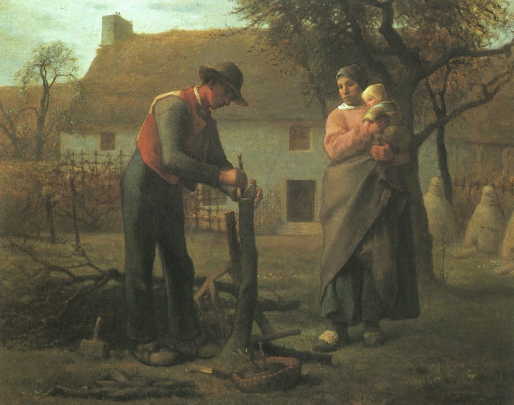 прививка дерева 1855