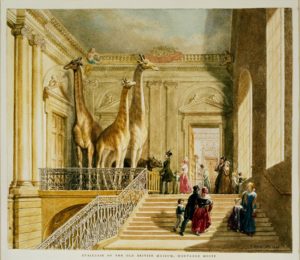 Лестница в Монтегю-хаус. Акварель Г. Шарфа. 1845 г